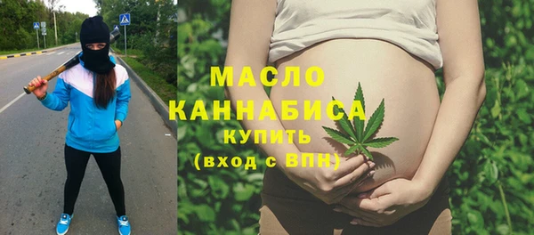 шишки Горняк